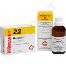 Hepavet Homeopathic Ampoules and Drops for Dogs and Cats